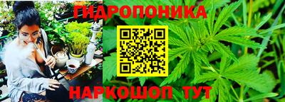 apvp Ликино-Дулёво
