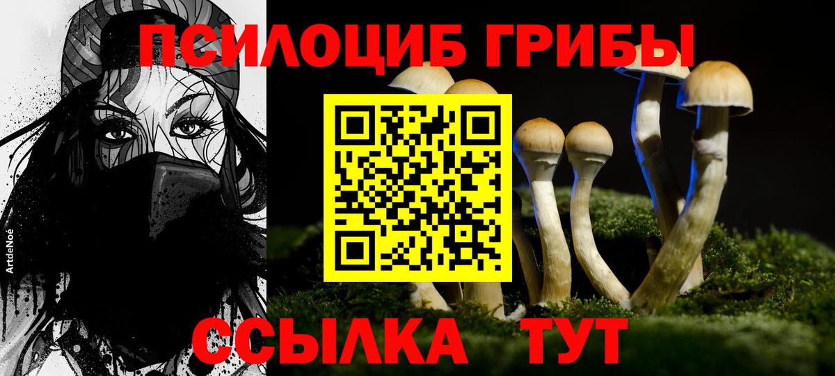 Электросталь  Галлюциногенные грибы Psilocybine cubensis  купить наркотик  Галлюциногенные грибы Cubensis  Вход с VPN 